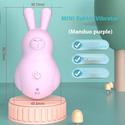 Rechargeable Ultra-quiet Silent Female Toy