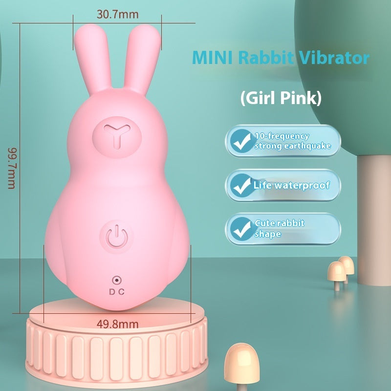 Rechargeable Ultra-quiet Silent Female Toy