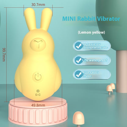 Rechargeable Ultra-quiet Silent Female Toy